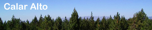 CahaHeader_8.jpg