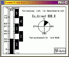 Display Tor-Simulation