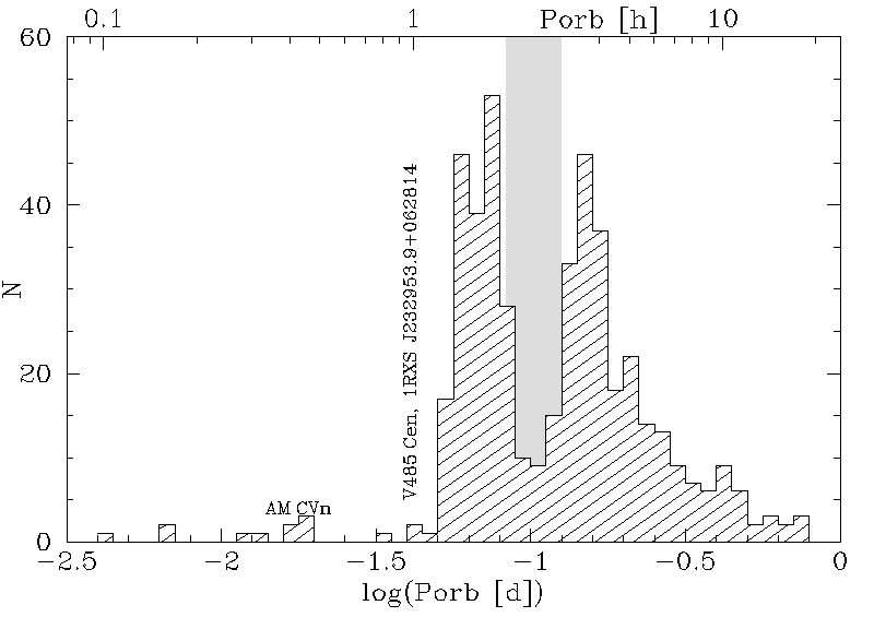 Orbital period distribution